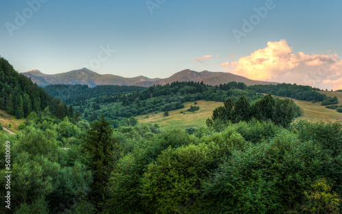 nature landscape