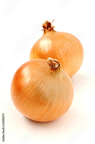 Wallpaper Mural たまねぎ Torontodigital.ca