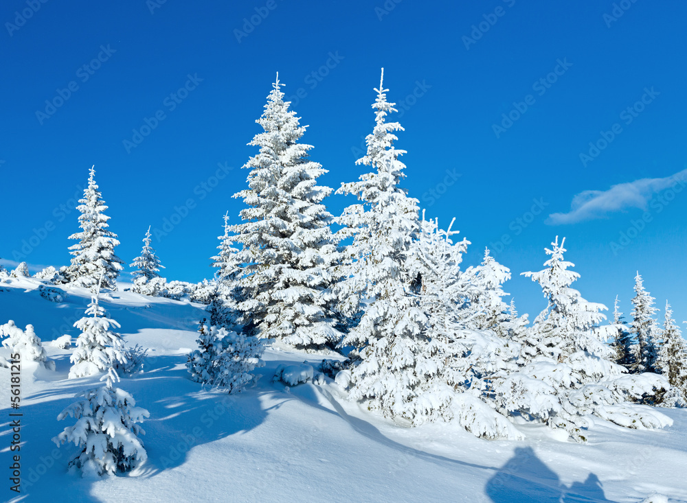 Fototapeta premium Morning winter mountain landscape