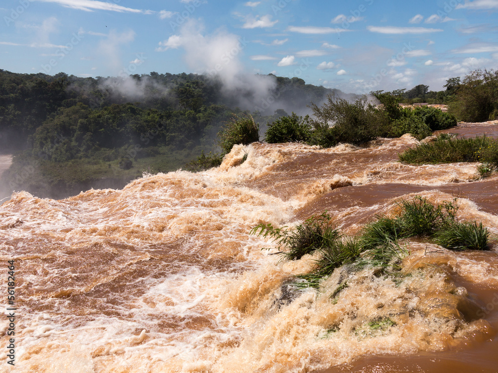 River leading to Iguassu Falls