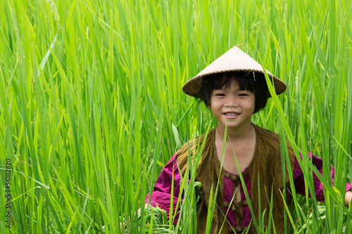 Mädchen im Reisfeld