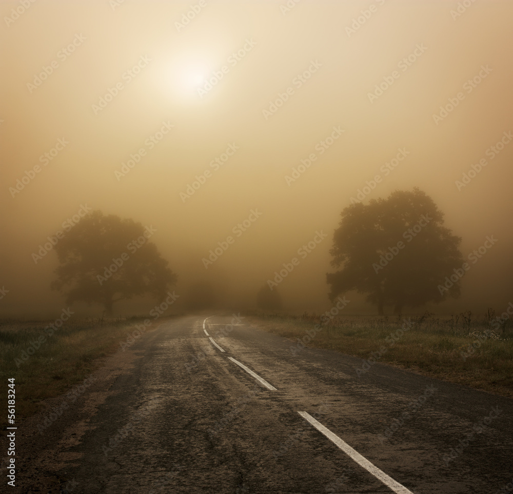 Autumn Landscape with Trees and Road in Fog