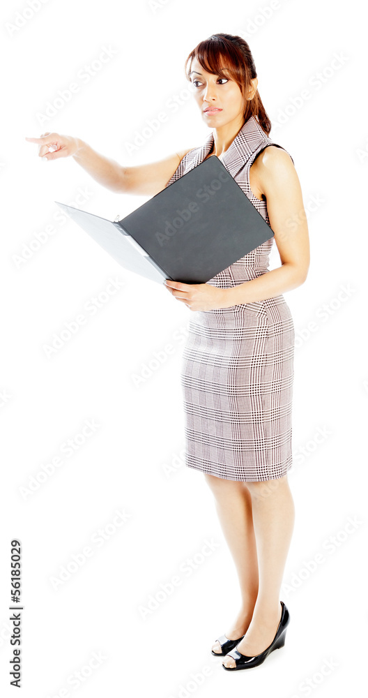 Attractive Indian woman isolated on white background Attractive Indian woman isolated on white background