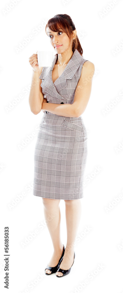 Attractive Indian woman isolated on white background Attractive Indian woman isolated on white background