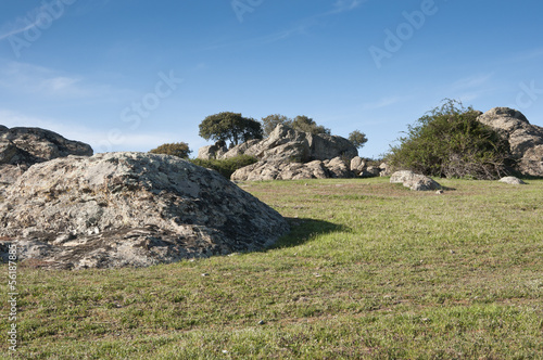 Dehesa de Navalvillar  Colmenar Viejo  Madrid  Spain