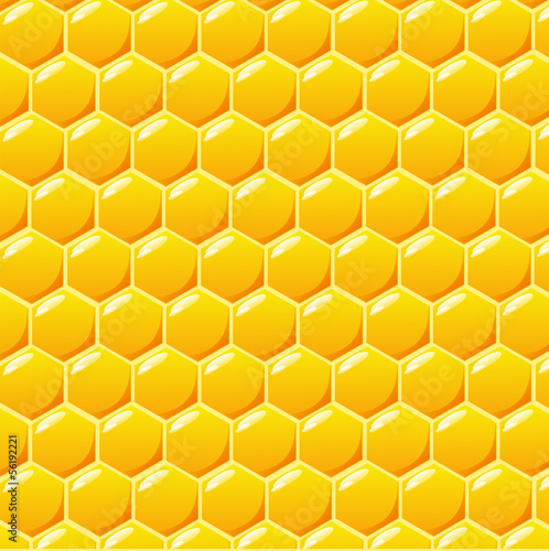 Honeycomb vector background