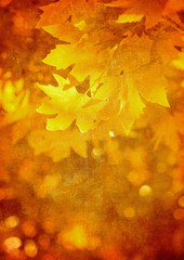grunge background with autumn leaves