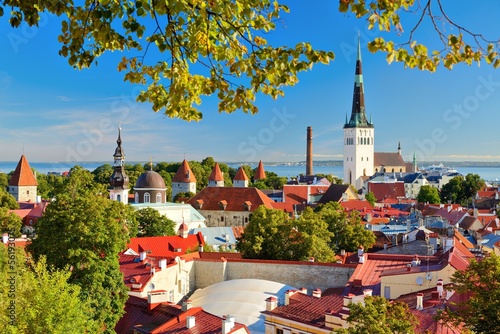 Obraz na plátně Tallinn Estonia Skyline