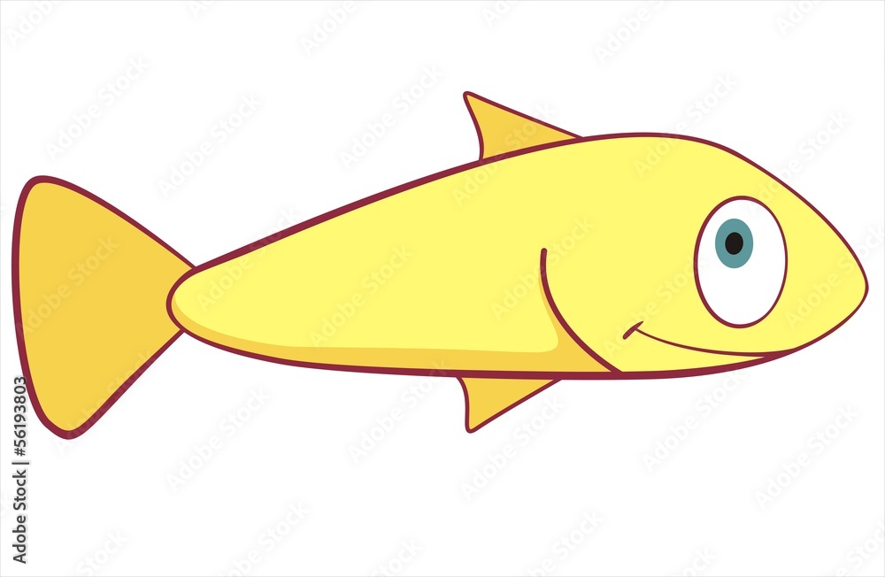 Little Fish Little Fish