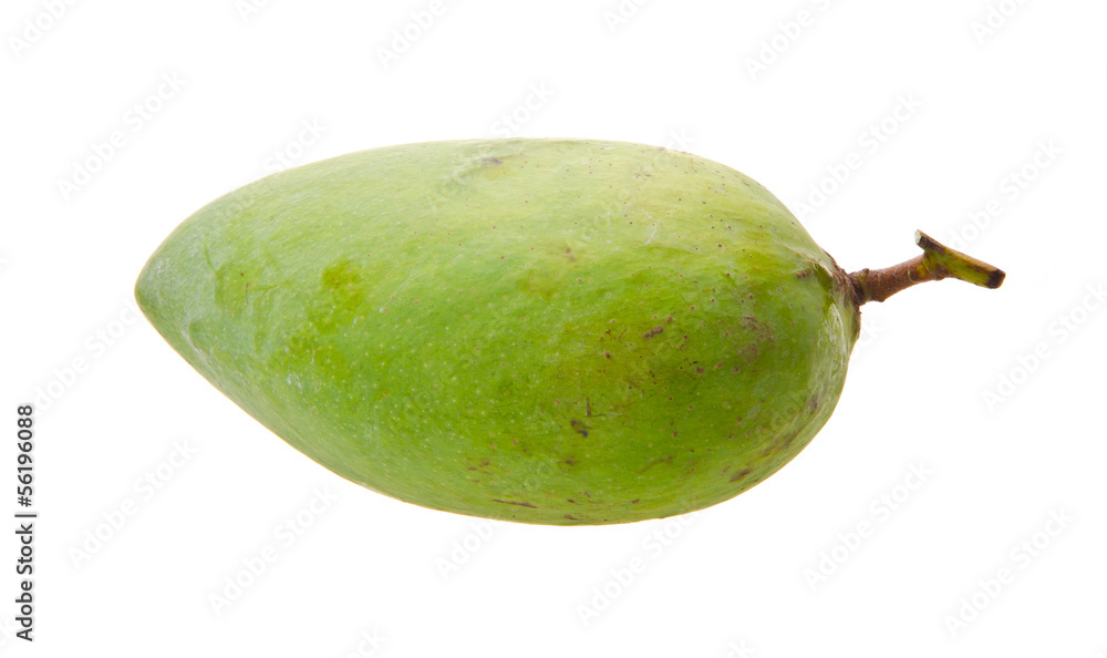 mango. green mango on white background mango. green mango on white background