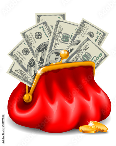 Purse with money
