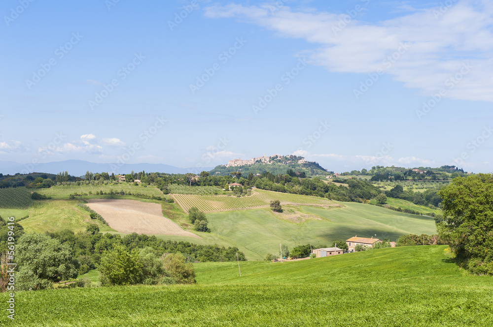 Landscape near Pienza Tuscany