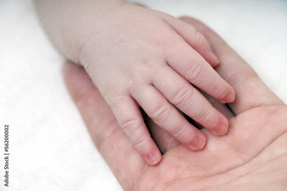 Hand von einem Baby Hand von einem Baby