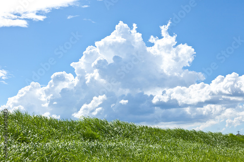 Tableau sur toile Grass and summer thunderhead