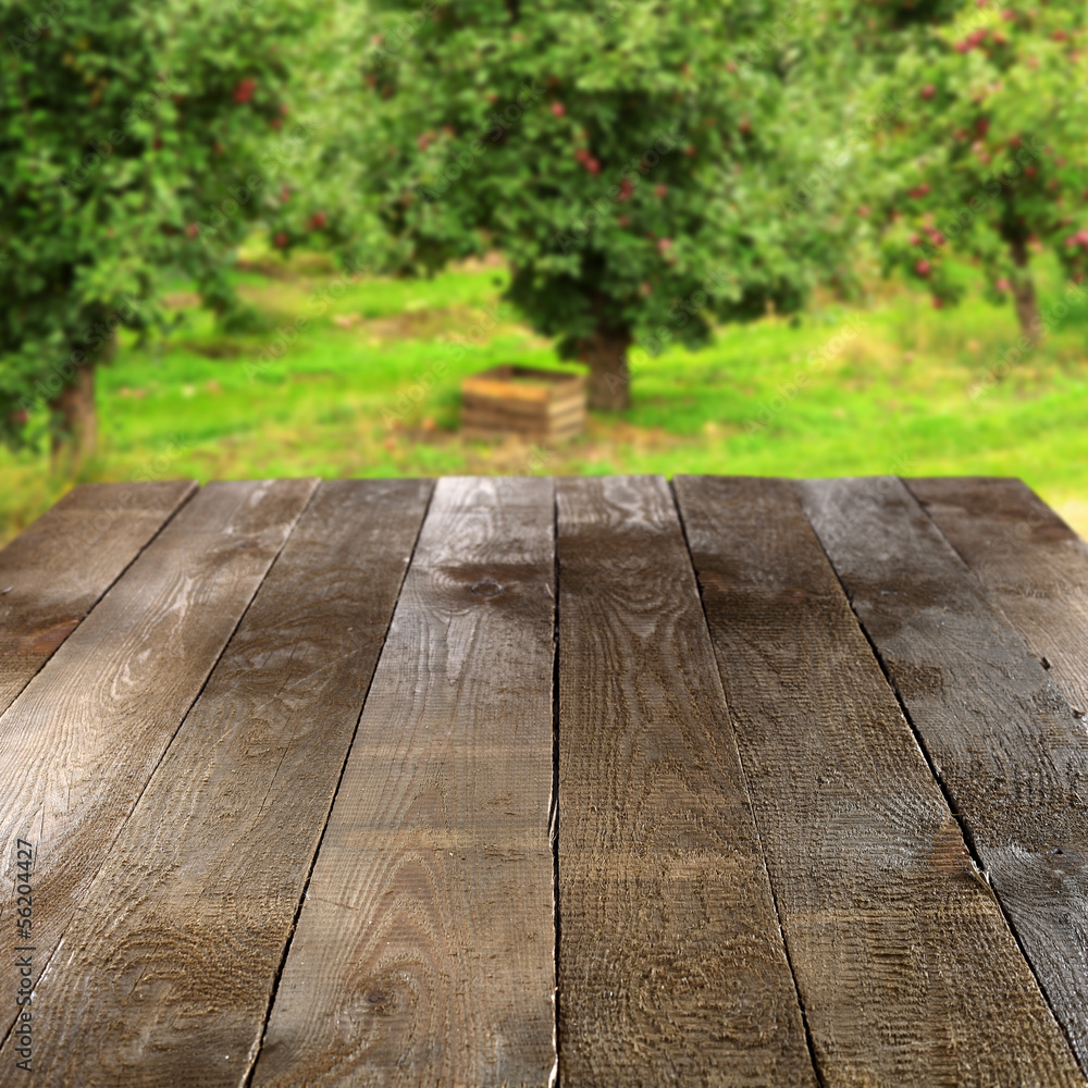 Obraz premium garden