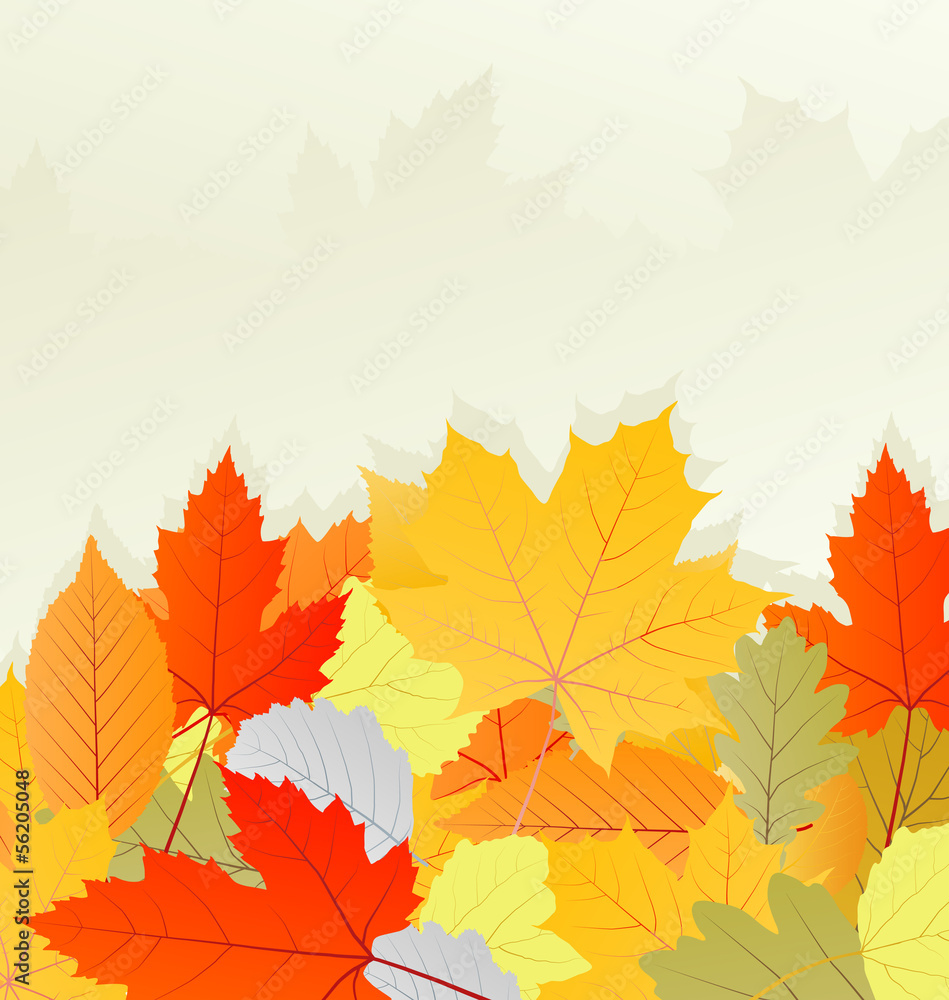 Fototapeta premium Autumn leaves background vector concept