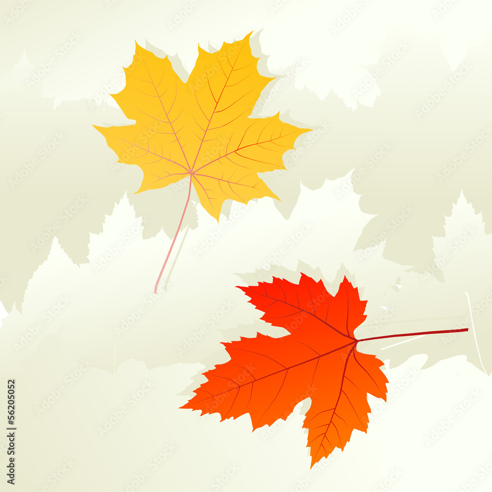 Autumn leaves background vector concept Autumn leaves background vector concept