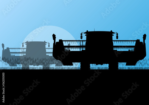 Agricultural combine harvester in grain field seasonal farming l