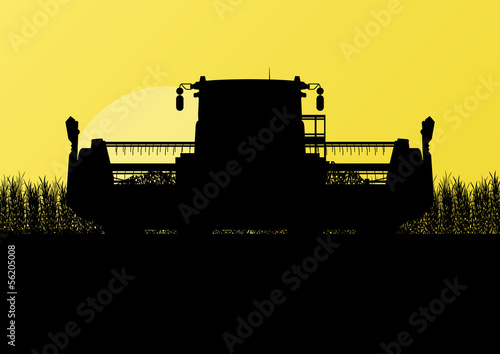 Agricultural combine harvester in grain field seasonal farming l