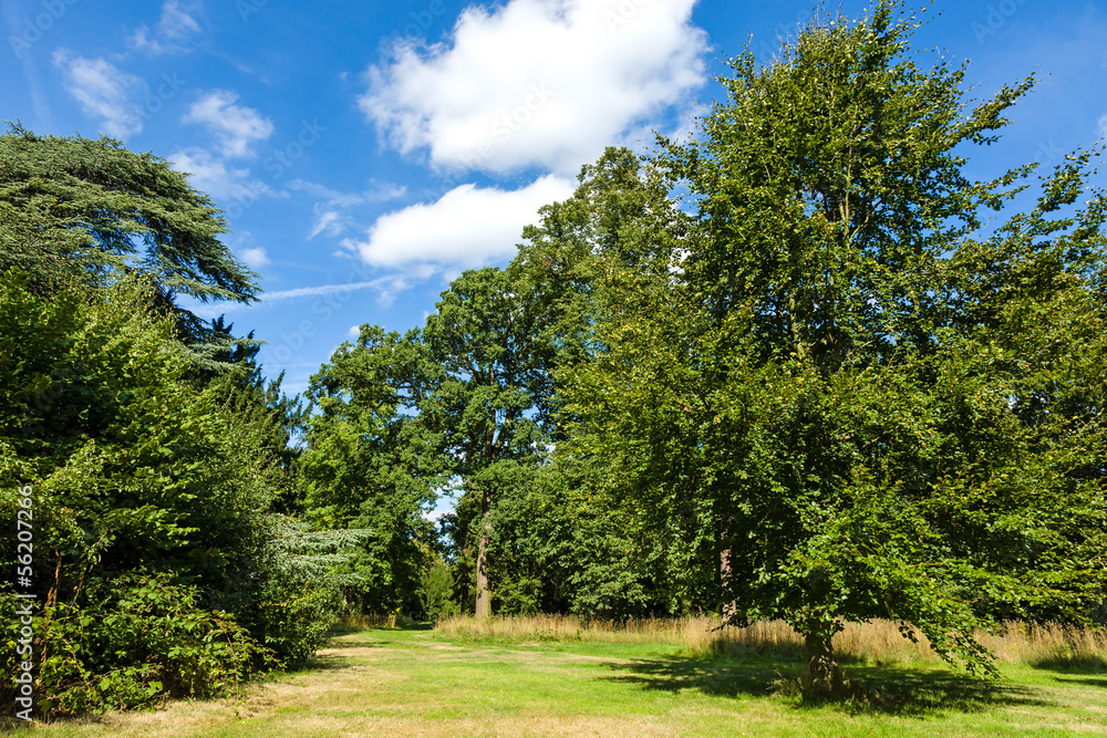 Beautiful Lush Green Woodland Park Garden Beautiful Lush Green Woodland Park Garden