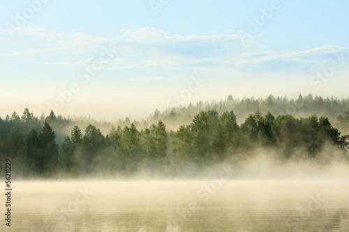 foggy forest and lake at dawn © Juhku