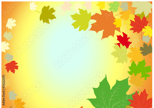Autumn leaves  abstract background