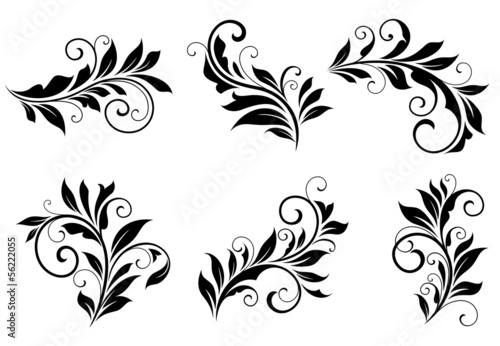 Set of floral design elements