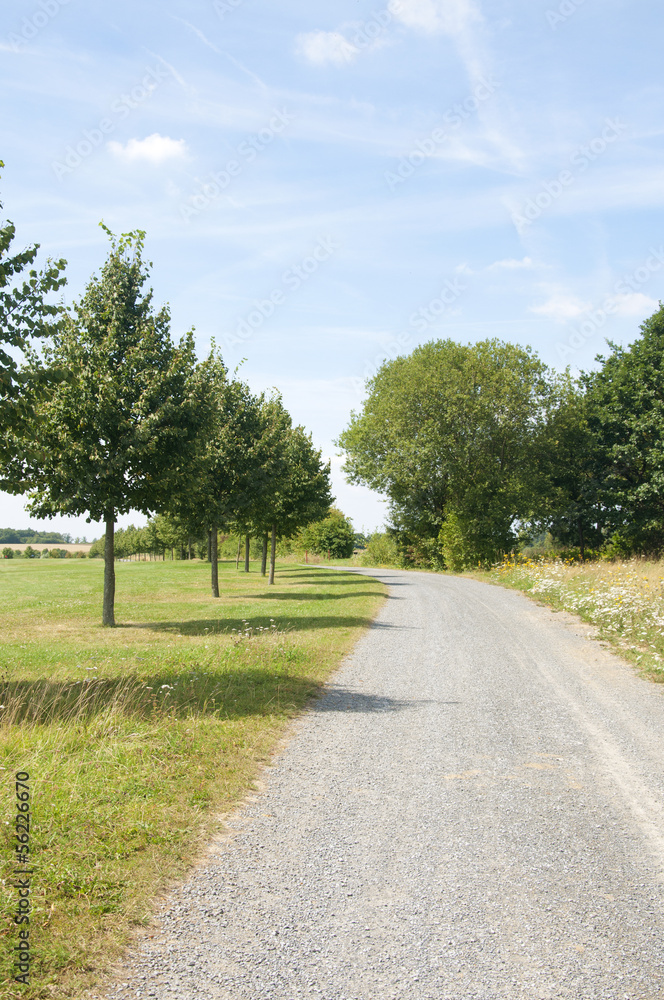 A Path Along a Golf Course in Germany A Path Along a Golf Course in Germany