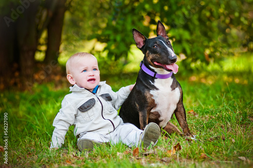 Fototapeta little boy with a bull terrier dog
