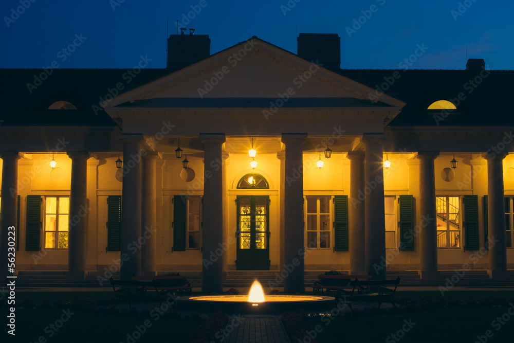Fototapeta premium castle front at night