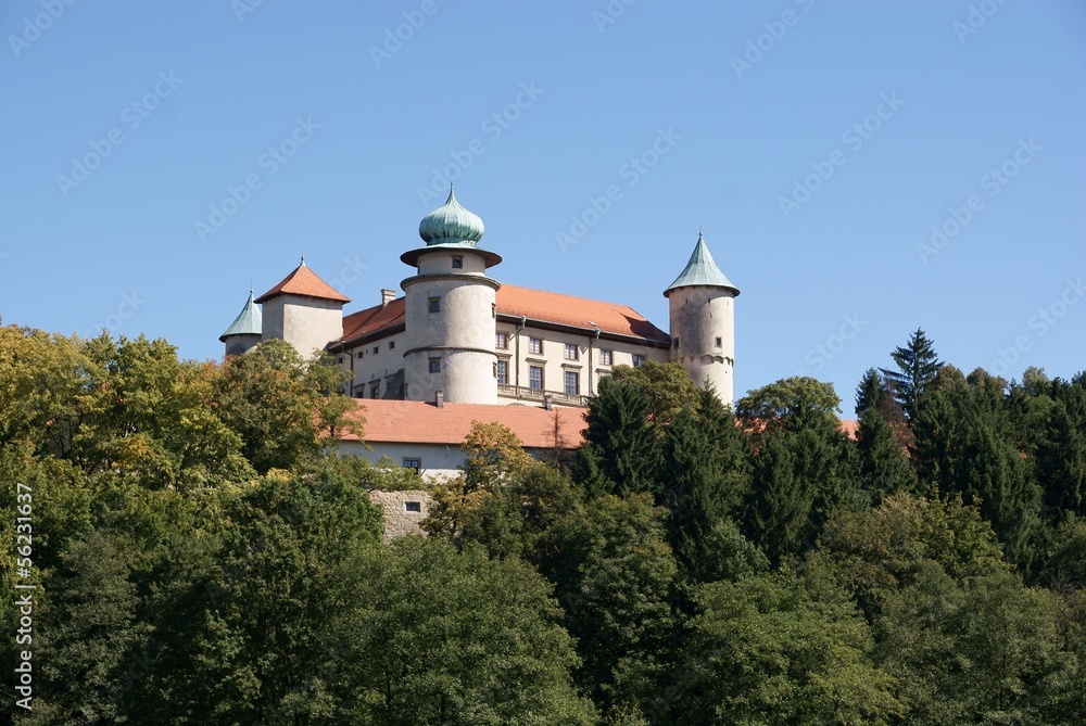 historical old castle in Wisnicz Nowy