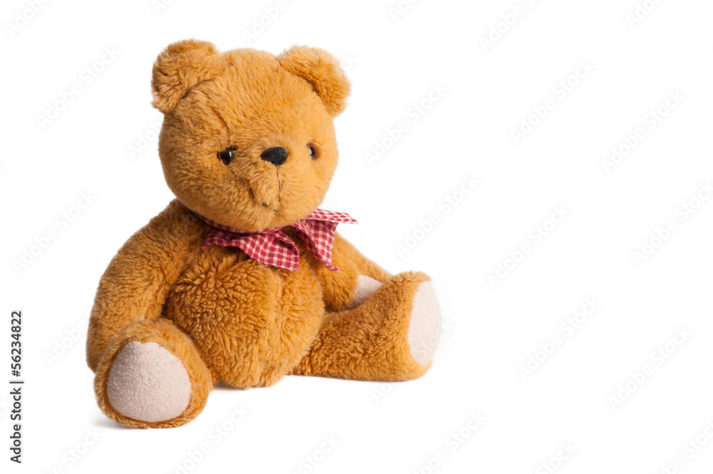 Fototapeta premium Teddy