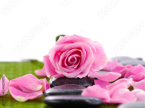 Pink rose with stones ,petals on mat