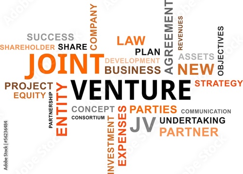 word cloud - joint venture