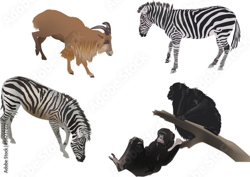several color animals on white