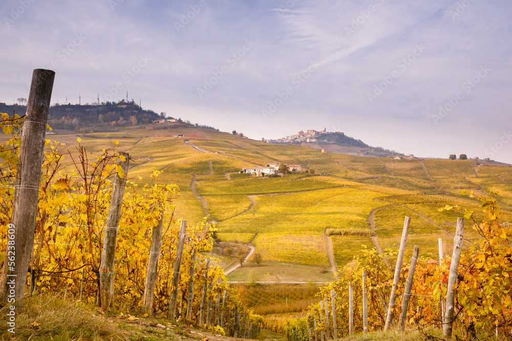 Vigne d'Autunno a Barolo, Piemonte
