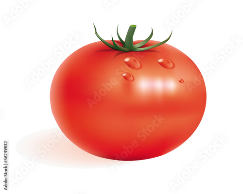 ripe tomato