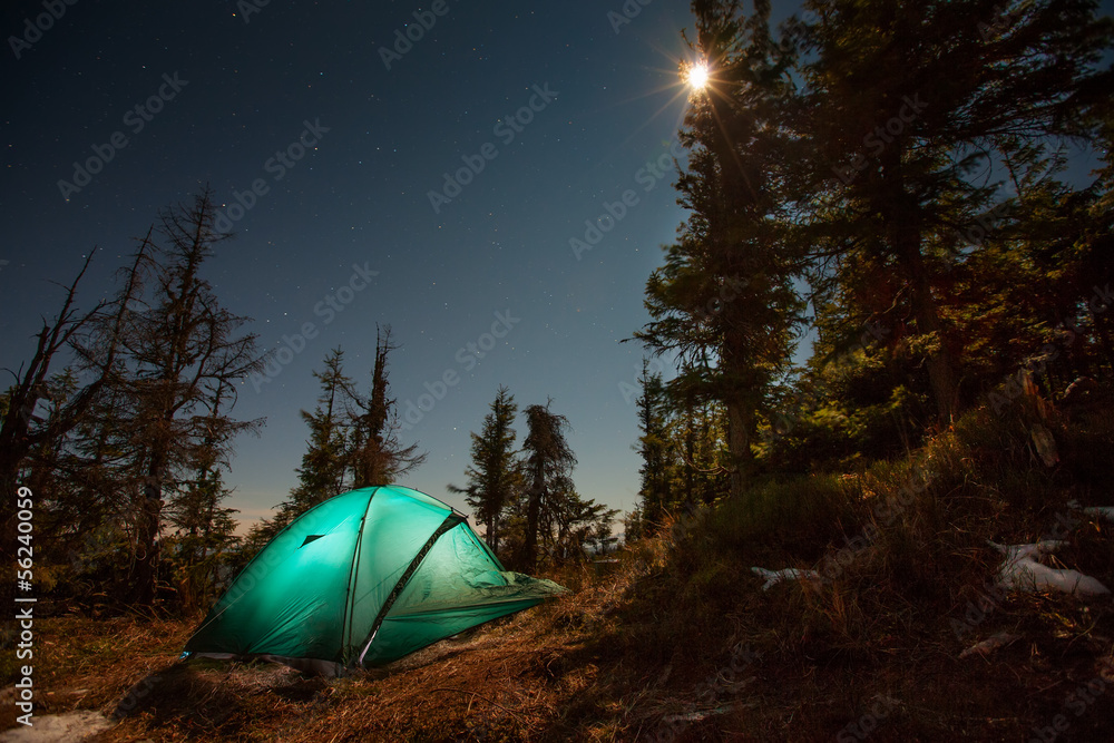 Tent illuminated with light in night forest