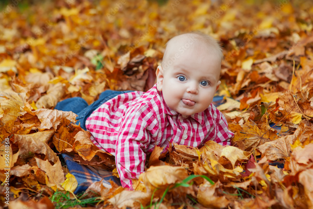 Child in knitted sweater sits in autumn park Child in knitted sweater sits in autumn park