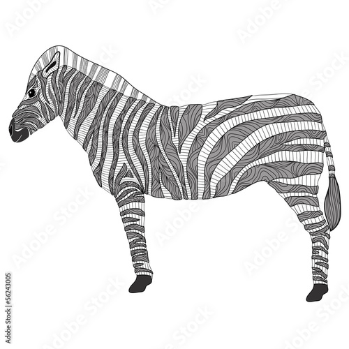 Cute pattern zebra