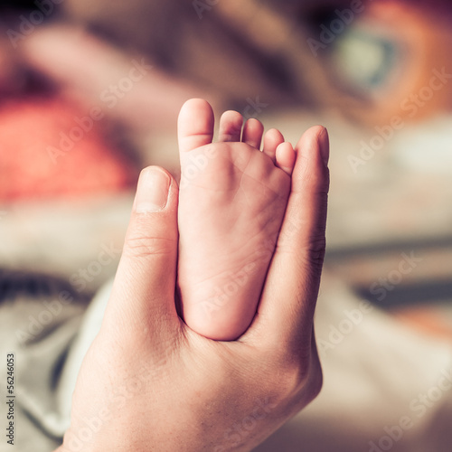 newborn baby feet on female hand photo