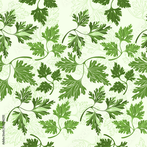 Seamless pattern with  parsley