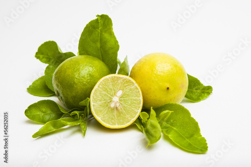 limones photo