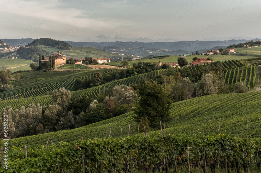 Castello nelle Langhe Castello nelle Langhe