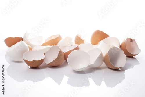 白背景に沢山の卵の殻