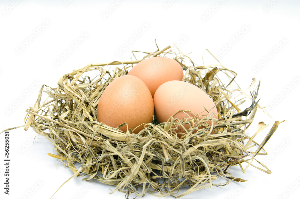 Brown eggs in a nest isolated on a white background Brown eggs in a nest isolated on a white background