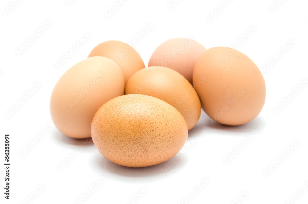 Close up of an egg isolated on white background Close up of an egg isolated on white background