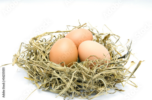 Brown eggs in a nest isolated on a white background