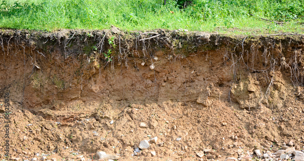 Obraz premium cut of soil