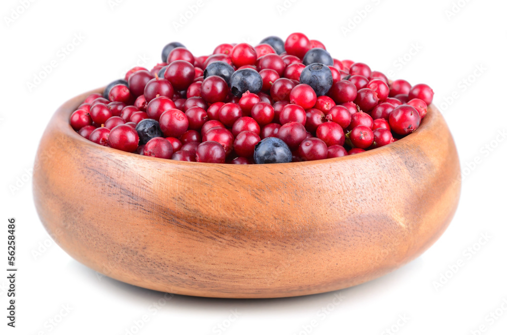 Autumn berrys Autumn berrys